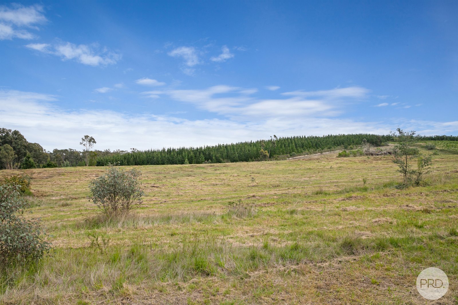 205 Bald Hills Road CRESWICK 7