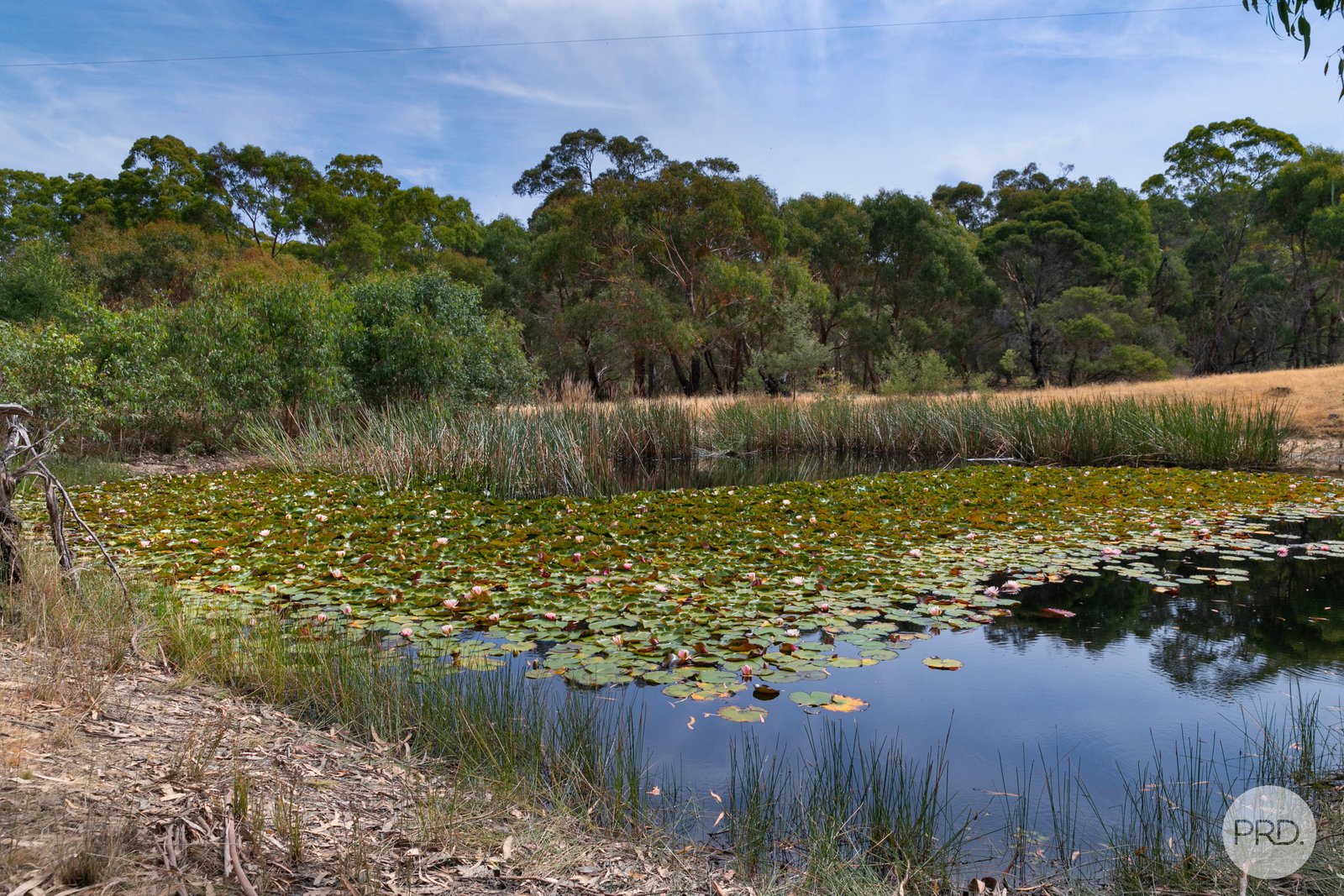 205 Dalgleishs Road BEAUFORT 17