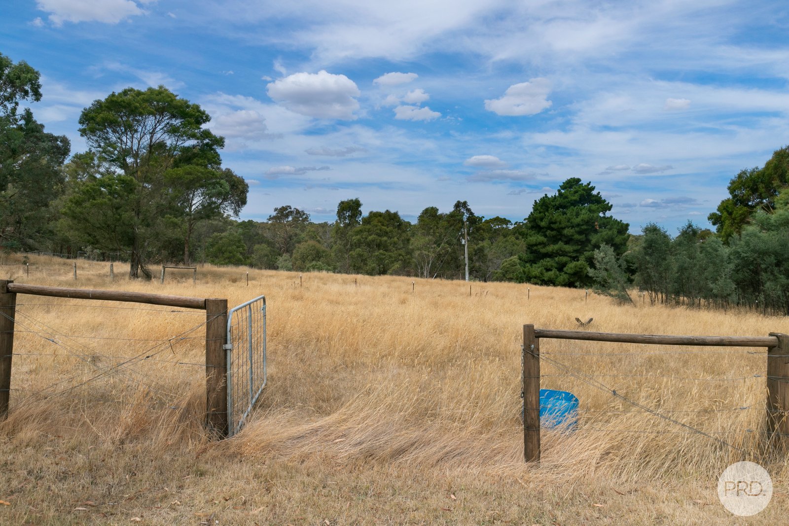 205 Dalgleishs Road BEAUFORT 19