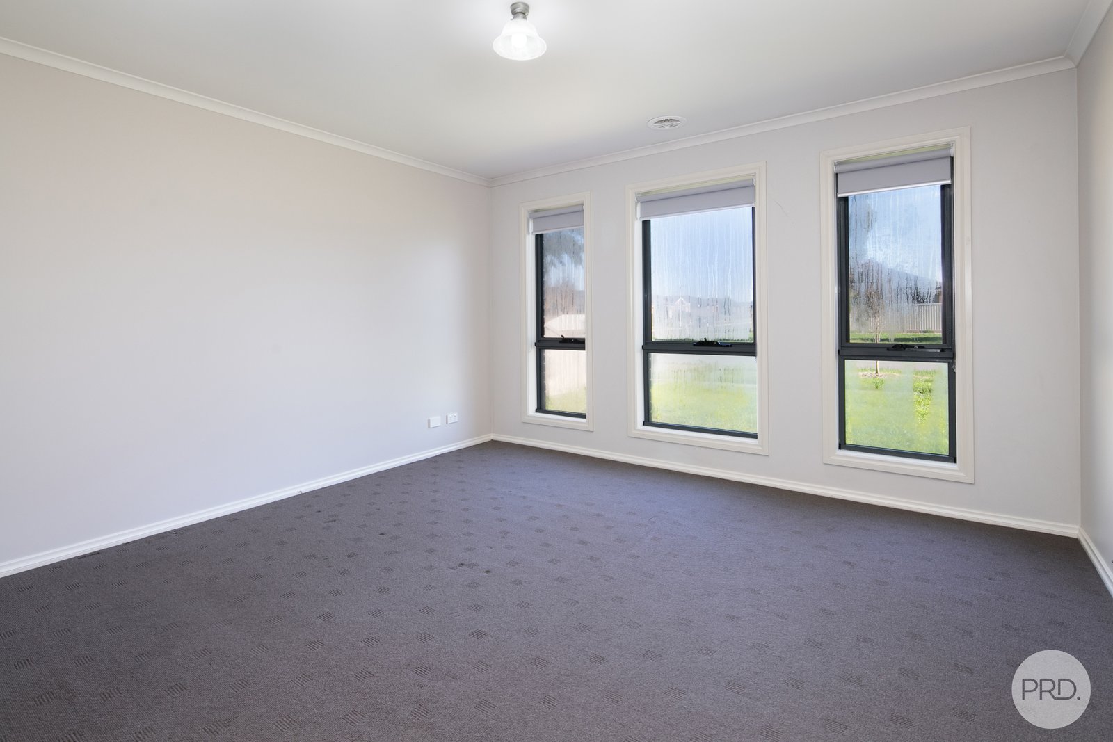 205 Kossuth Street SEBASTOPOL 2