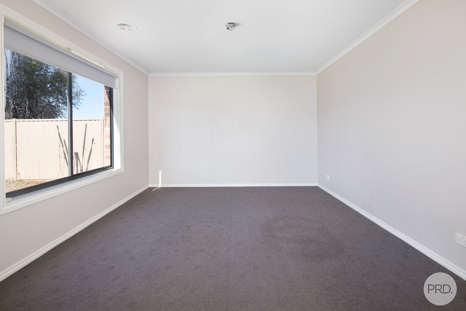 205 Kossuth Street SEBASTOPOL 8