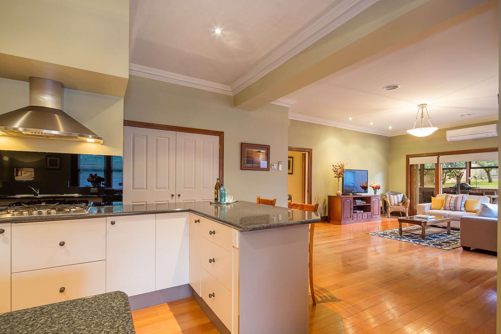 205 Macarthur Street SOLDIERS HILL 8