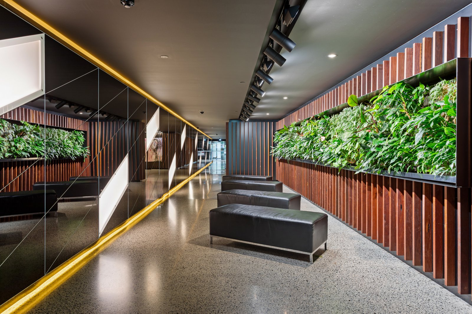 Gallery: 205/347 Camberwell Road