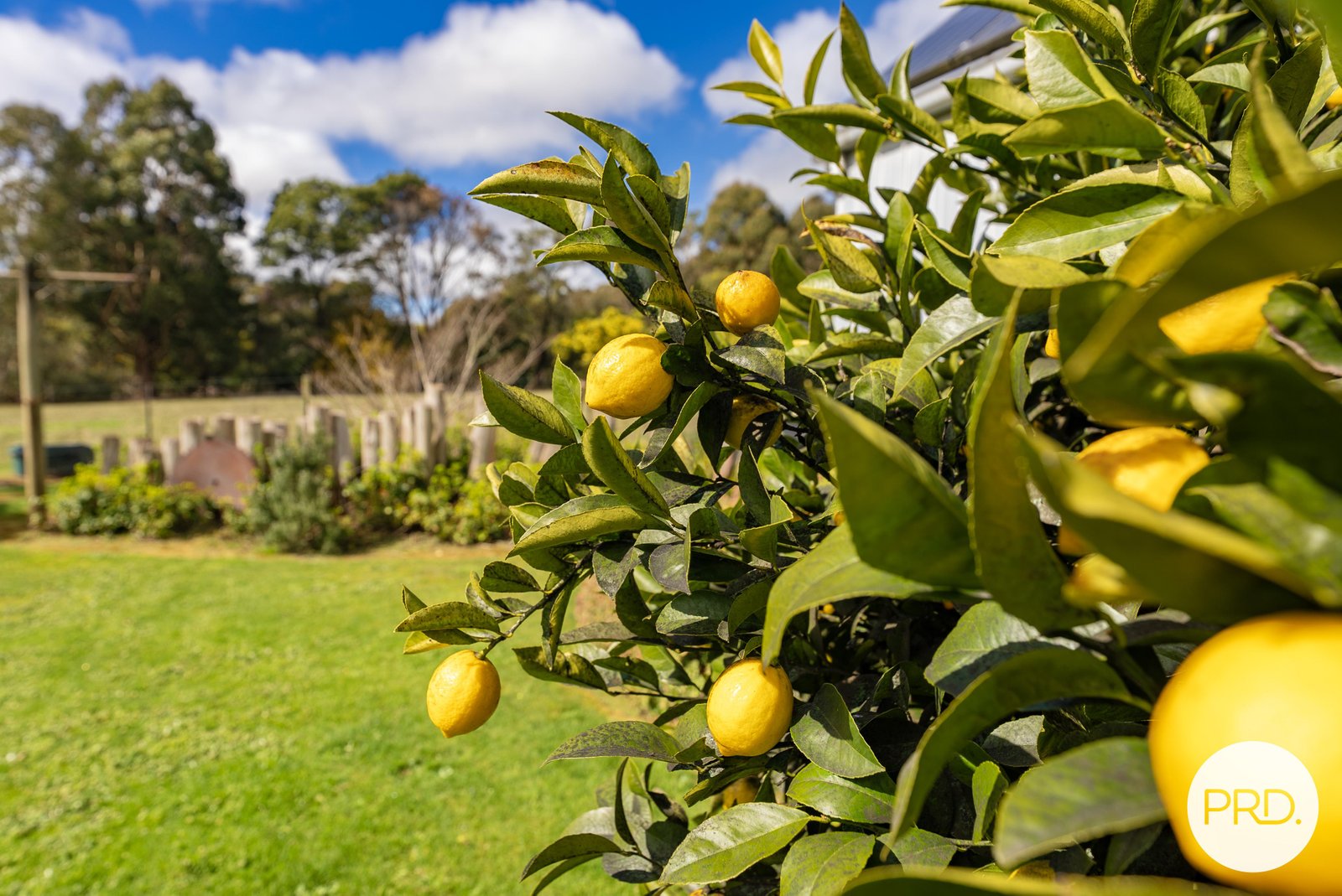 206 Bush Inn Road WATTLE FLAT 11