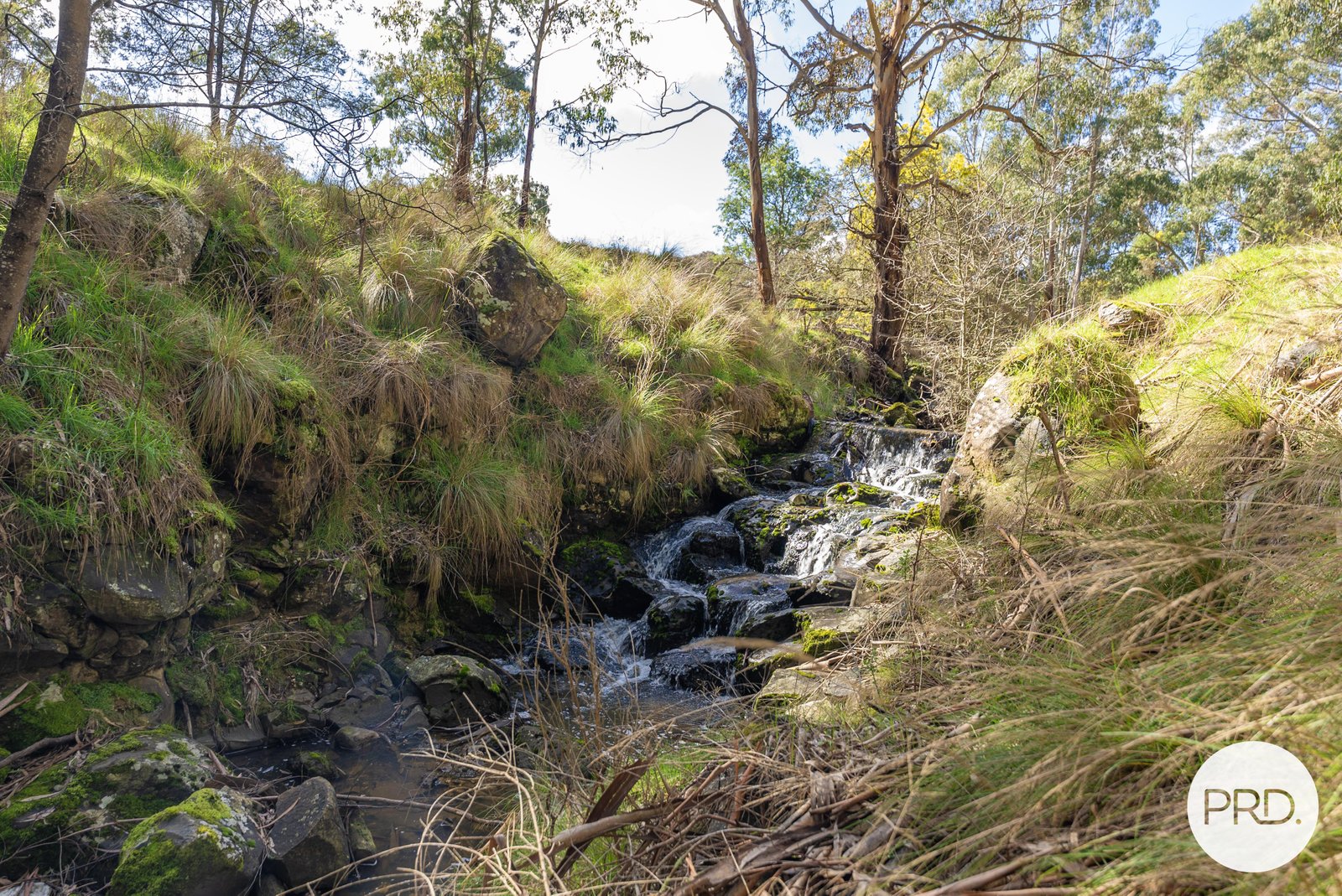 206 Bush Inn Road WATTLE FLAT 17