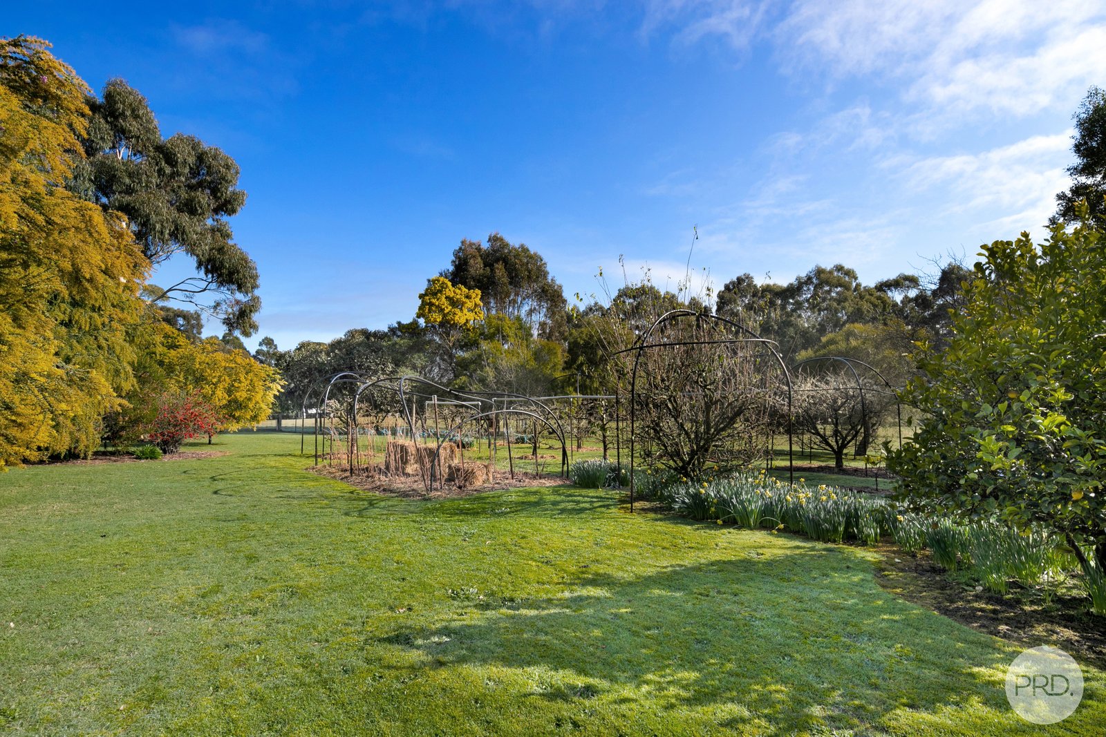 206 Bush Inn Road WATTLE FLAT 20