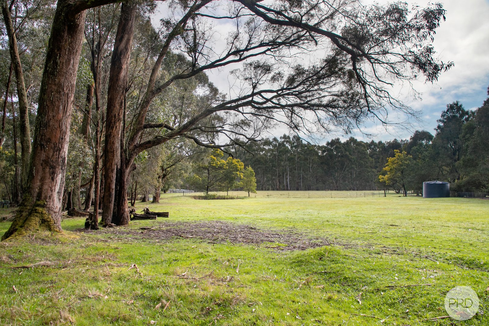 206 Bush Inn Road WATTLE FLAT 21