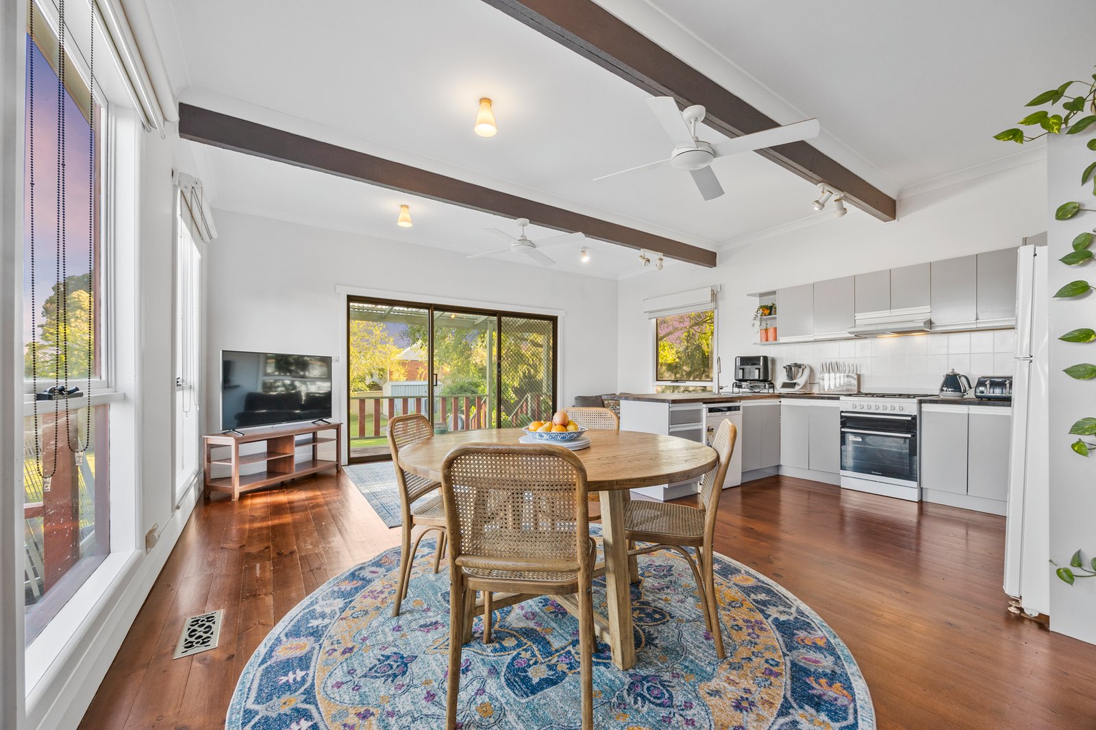 Gallery: 206 Chisholm Street