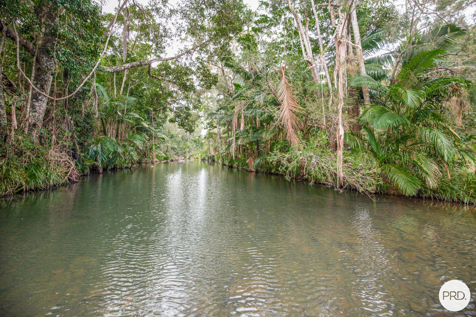 206 Frank Hoey Road SARINA RANGE 6