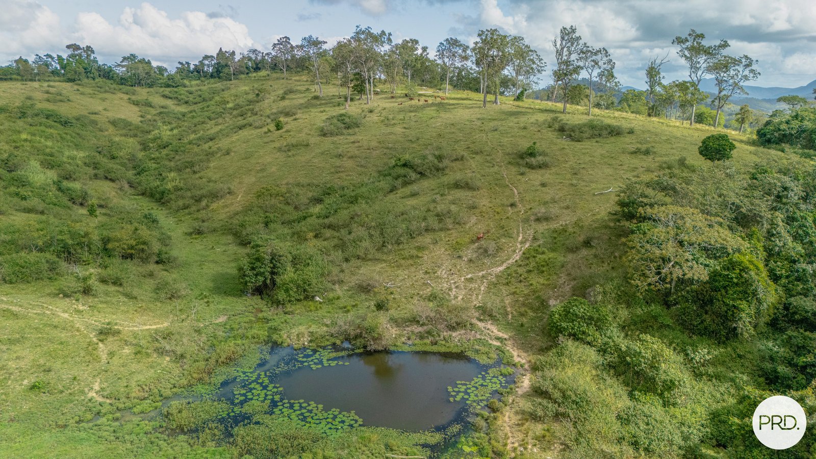 206 Frank Hoey Road SARINA RANGE 7