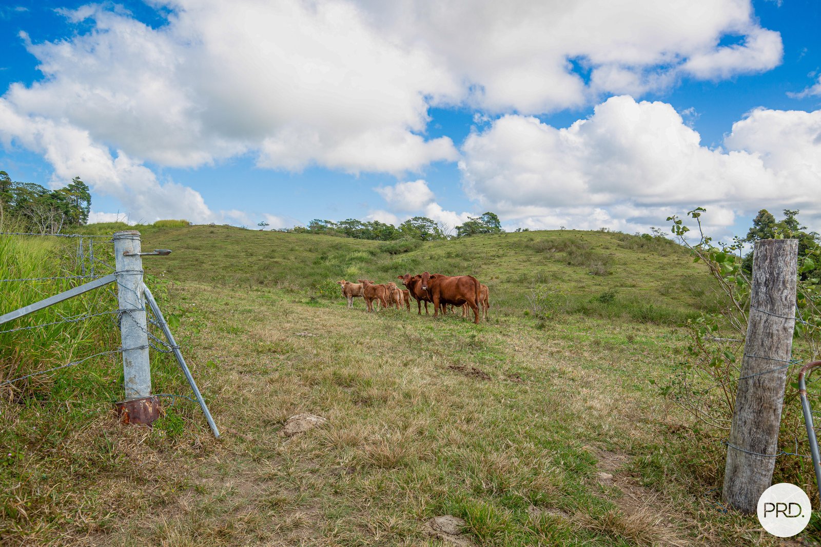 206 Frank Hoey Road SARINA RANGE 8