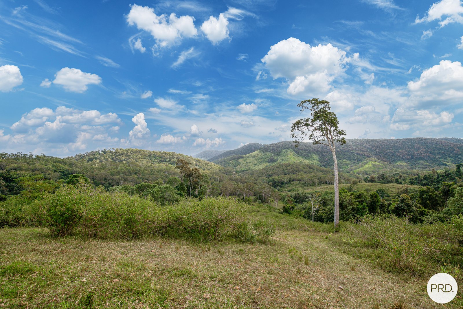 206 Frank Hoey Road SARINA RANGE 16