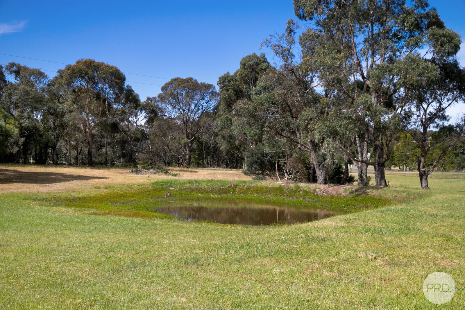 206 Jollys Hill Road SMYTHES CREEK 17