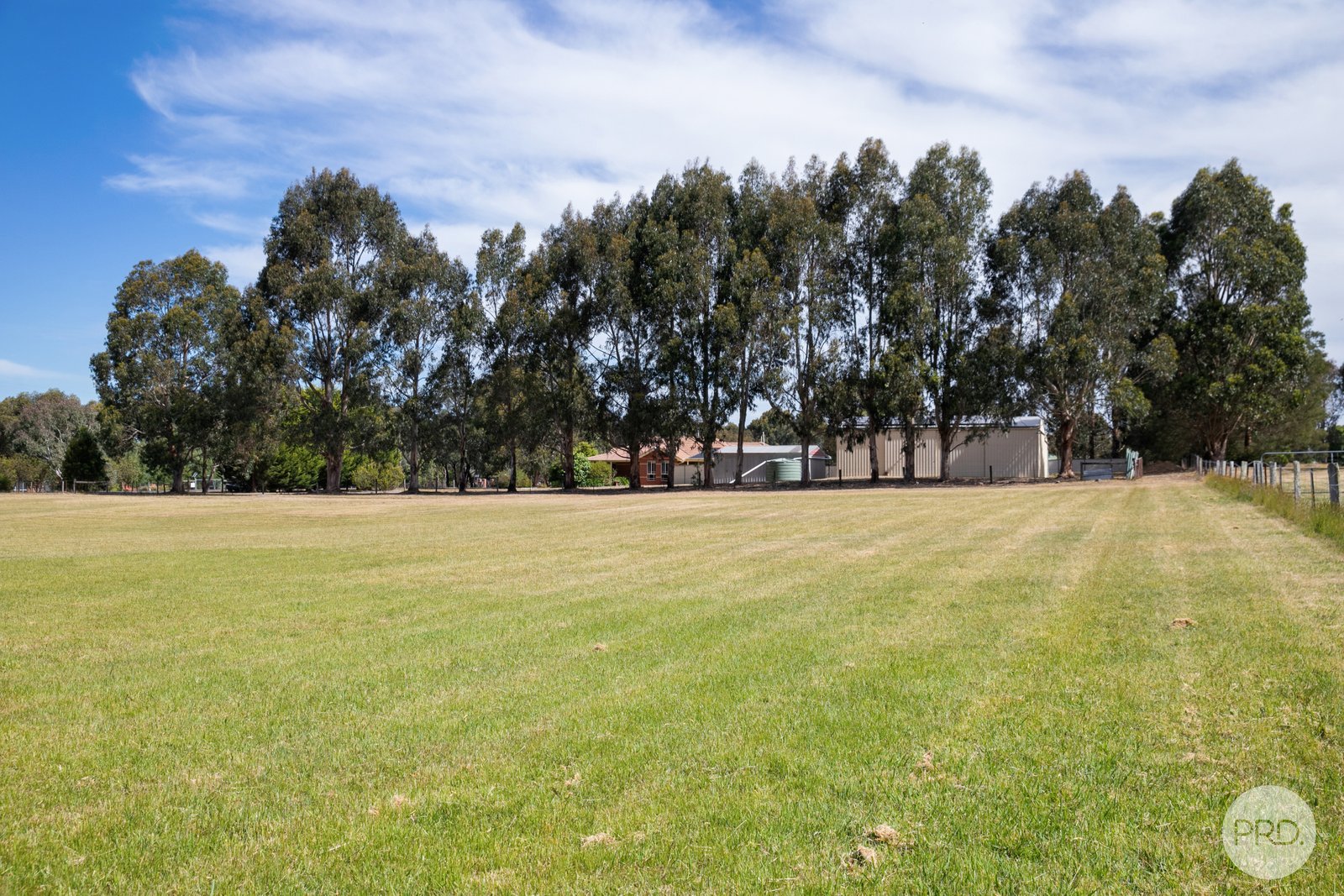 206 Jollys Hill Road SMYTHES CREEK 19