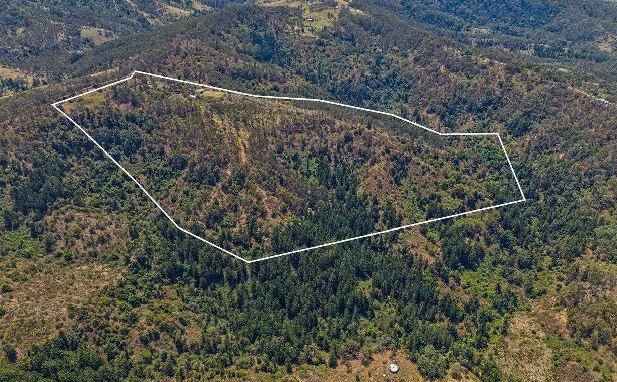 206 Sargents Road KYOGLE 24