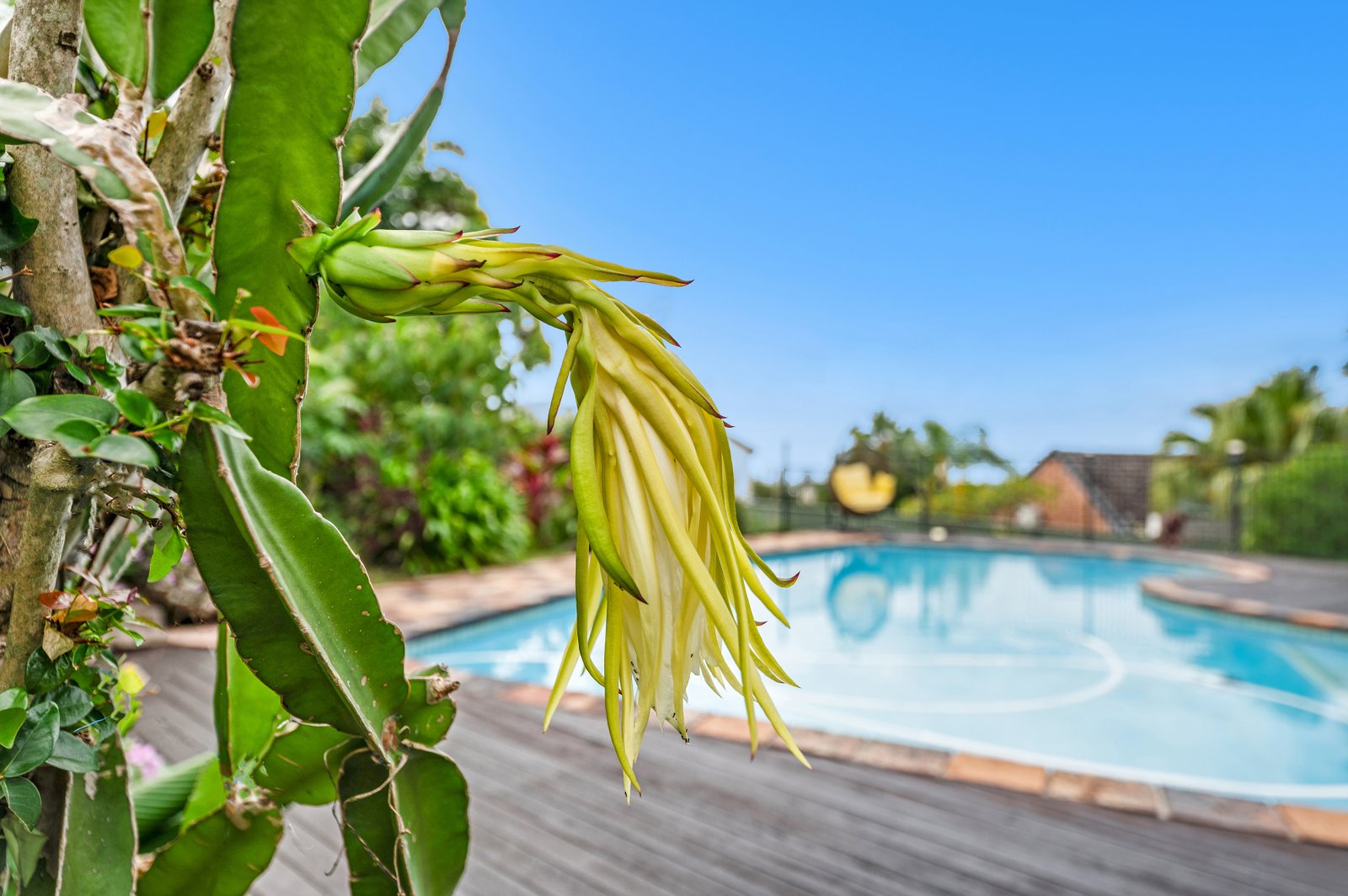 207 Heeb Street ASHMORE 9