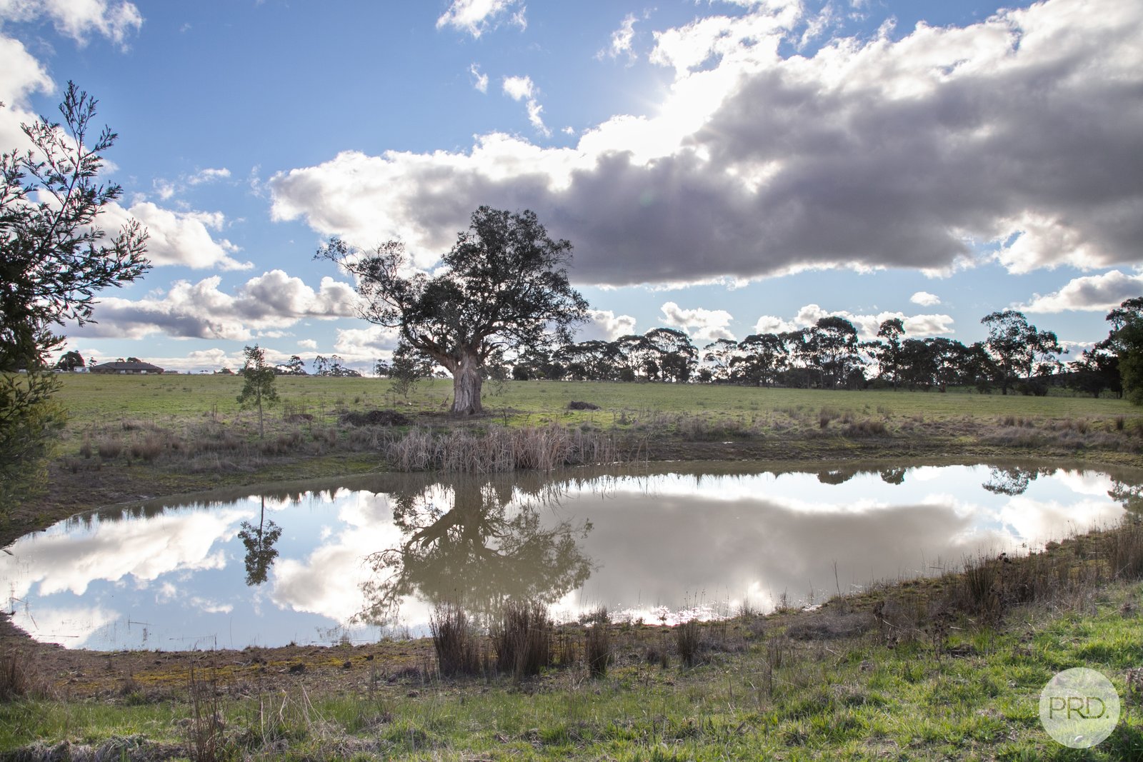 207 Spratlings Road ROSS CREEK 5