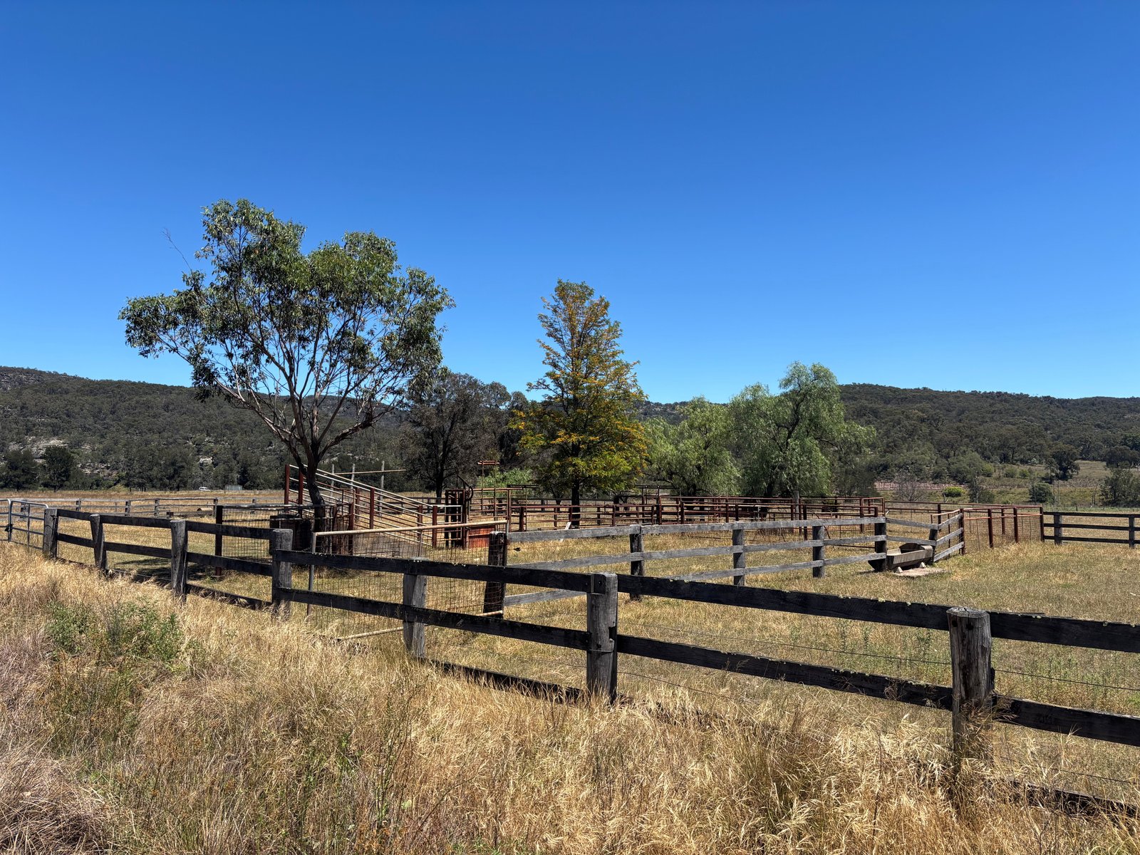 2080 Bylong Valley Way BAERAMI 1