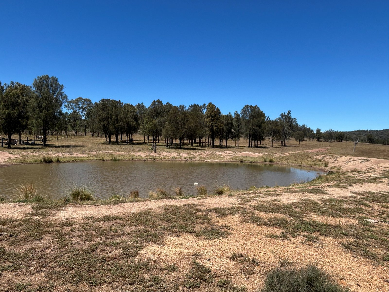 2080 Bylong Valley Way BAERAMI 4