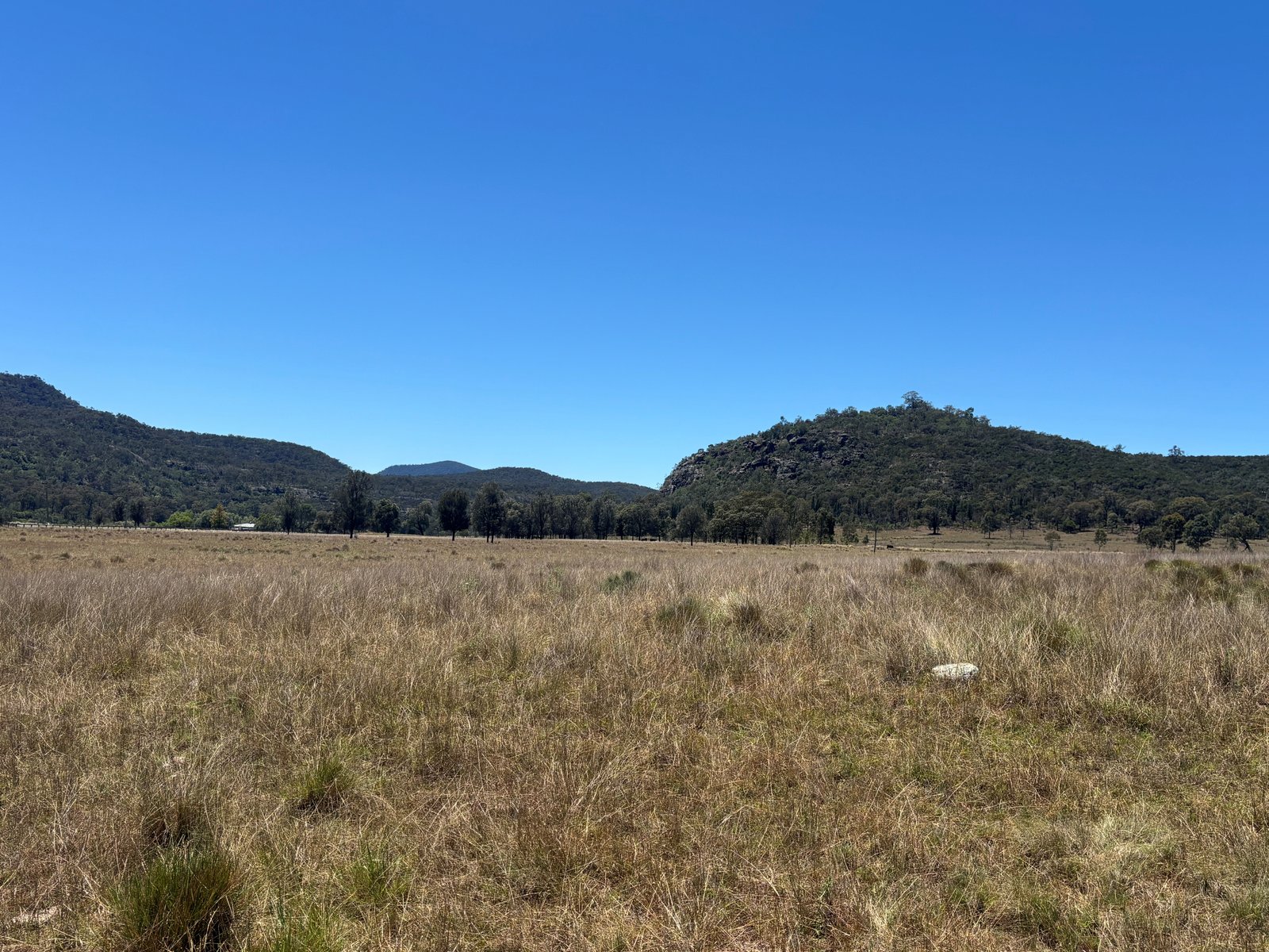 2080 Bylong Valley Way BAERAMI 7