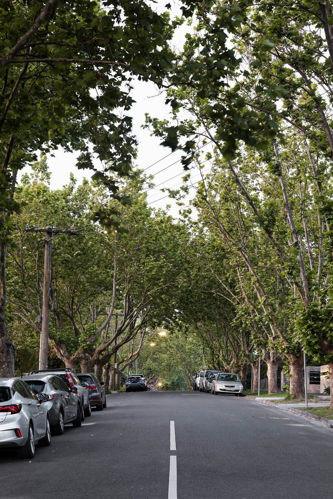 Real Estate and Property in 208/1455 High Street, Glen Iris, VIC