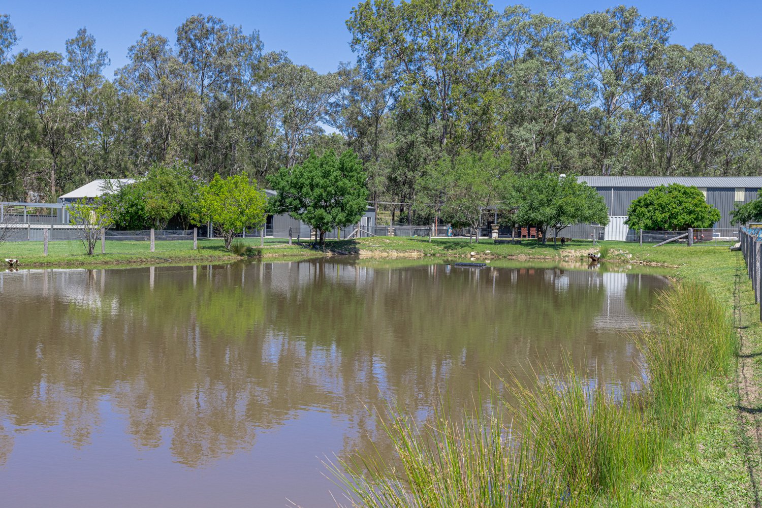 208A Roughit Lane SEDGEFIELD 2