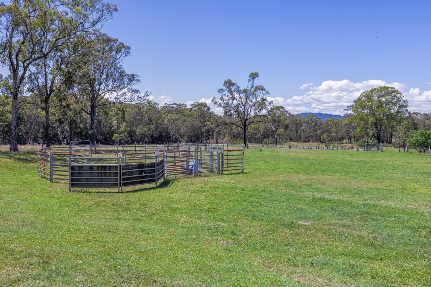 208A Roughit Lane SEDGEFIELD 5