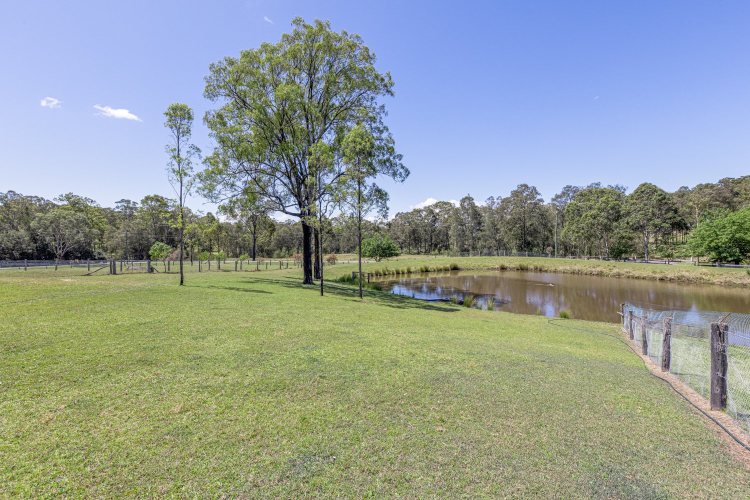 208A Roughit Lane SEDGEFIELD 24