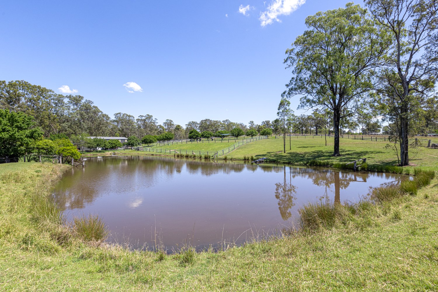 208A Roughit Lane SEDGEFIELD 26