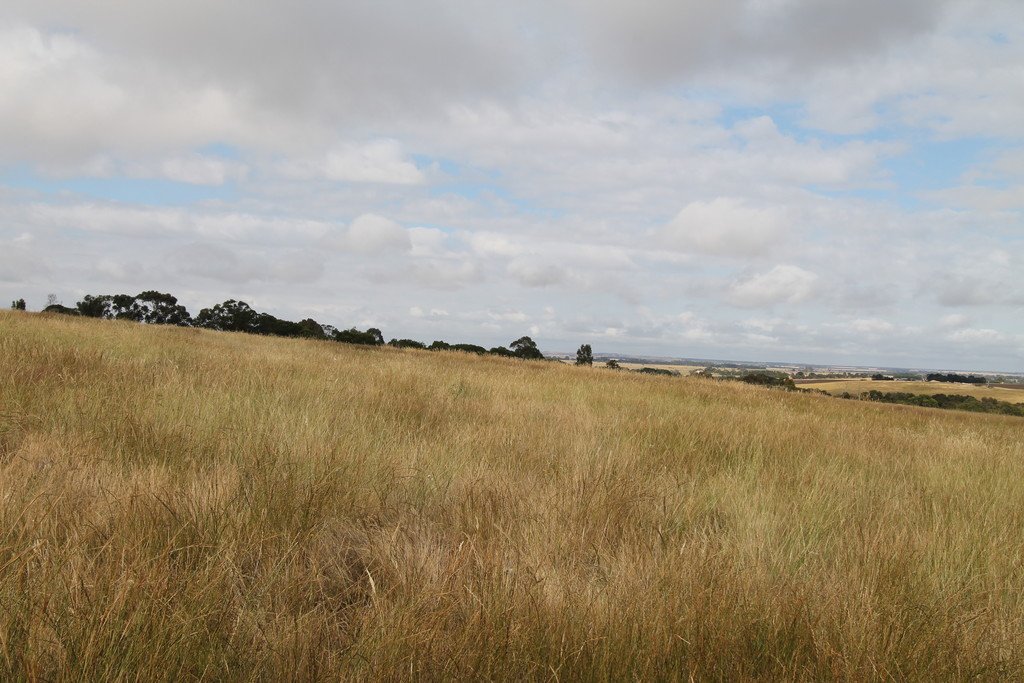 209 Davis Road BERRINGA 3