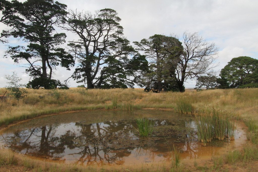 209 Davis Road BERRINGA 7