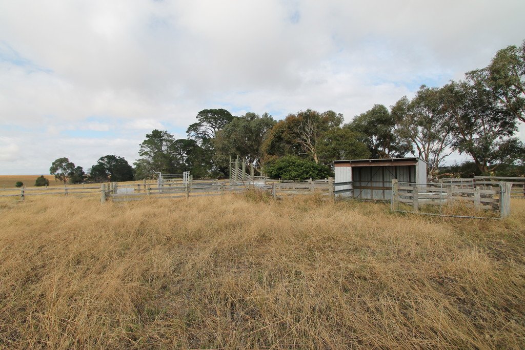 209 Davis Road BERRINGA 12