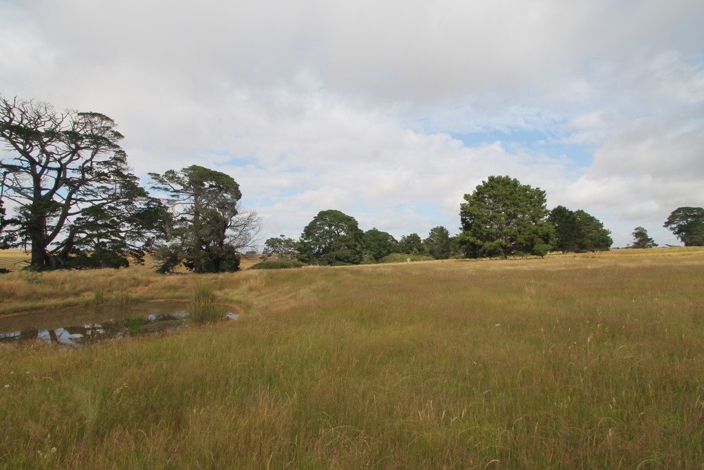 209 Davis Road BERRINGA 13