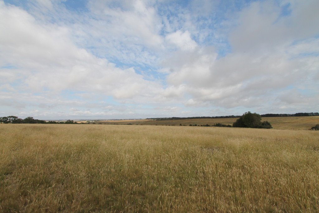 209 Davis Road BERRINGA 14