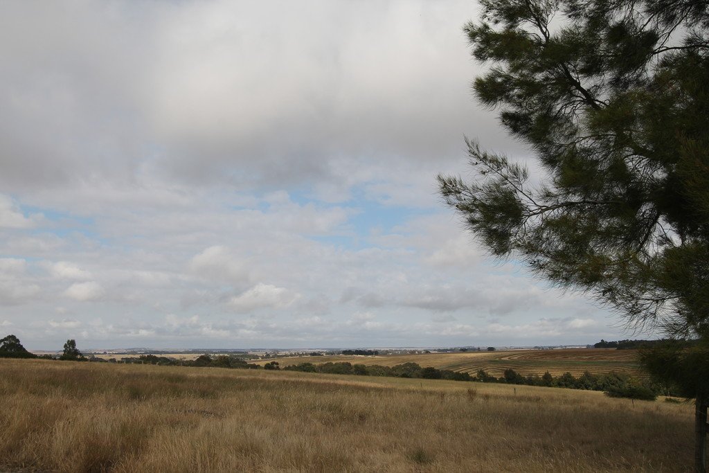 209 Davis Road BERRINGA 15