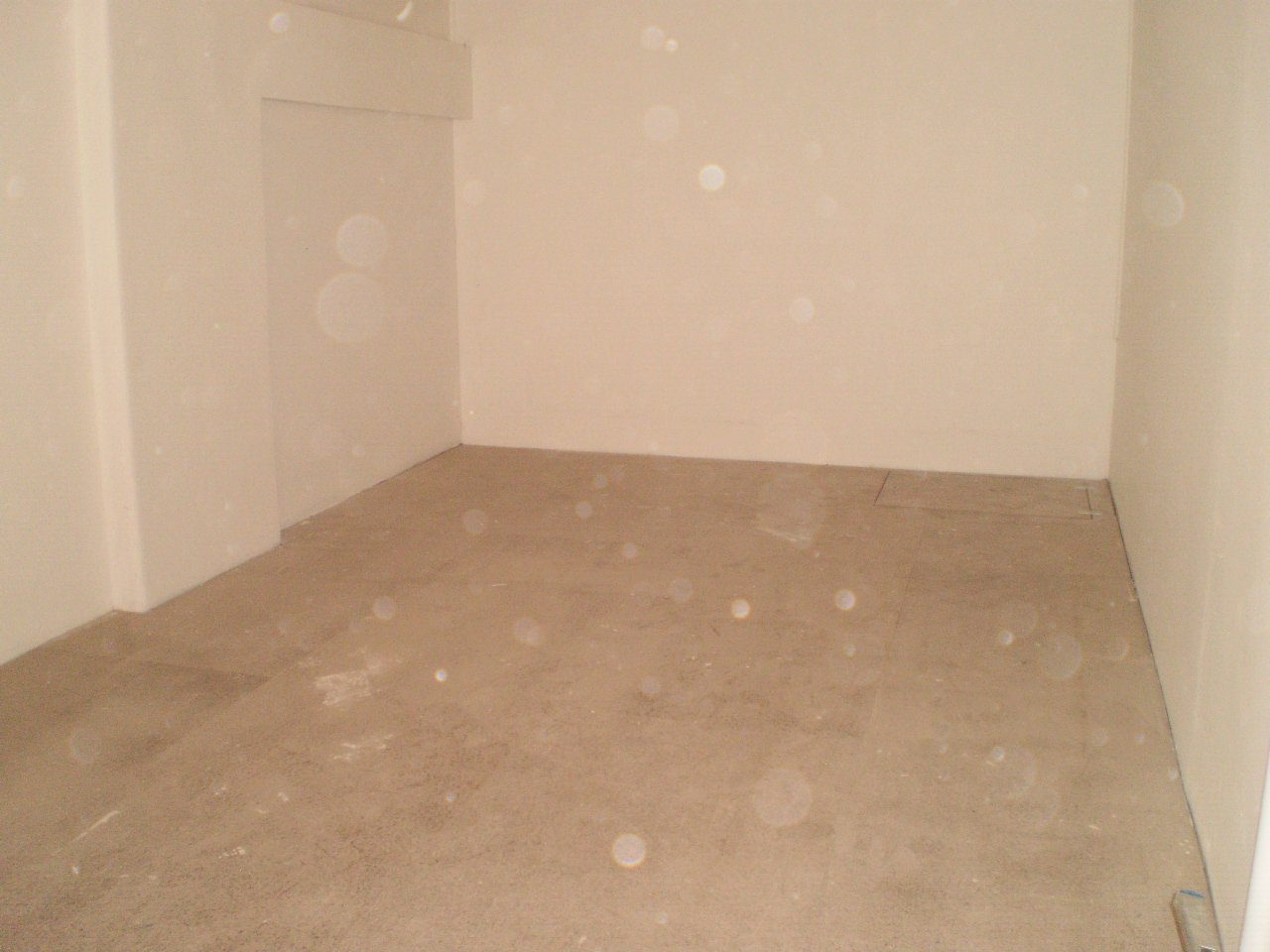 Gallery: 209 Elizabeth Street
