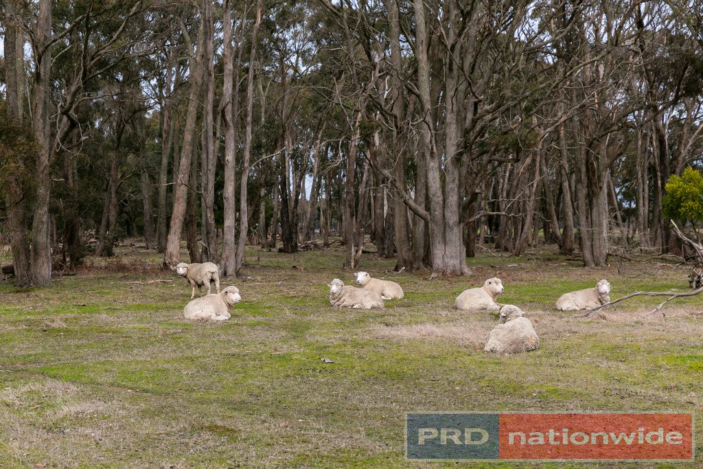 209 Lyons Road NAVIGATORS 18