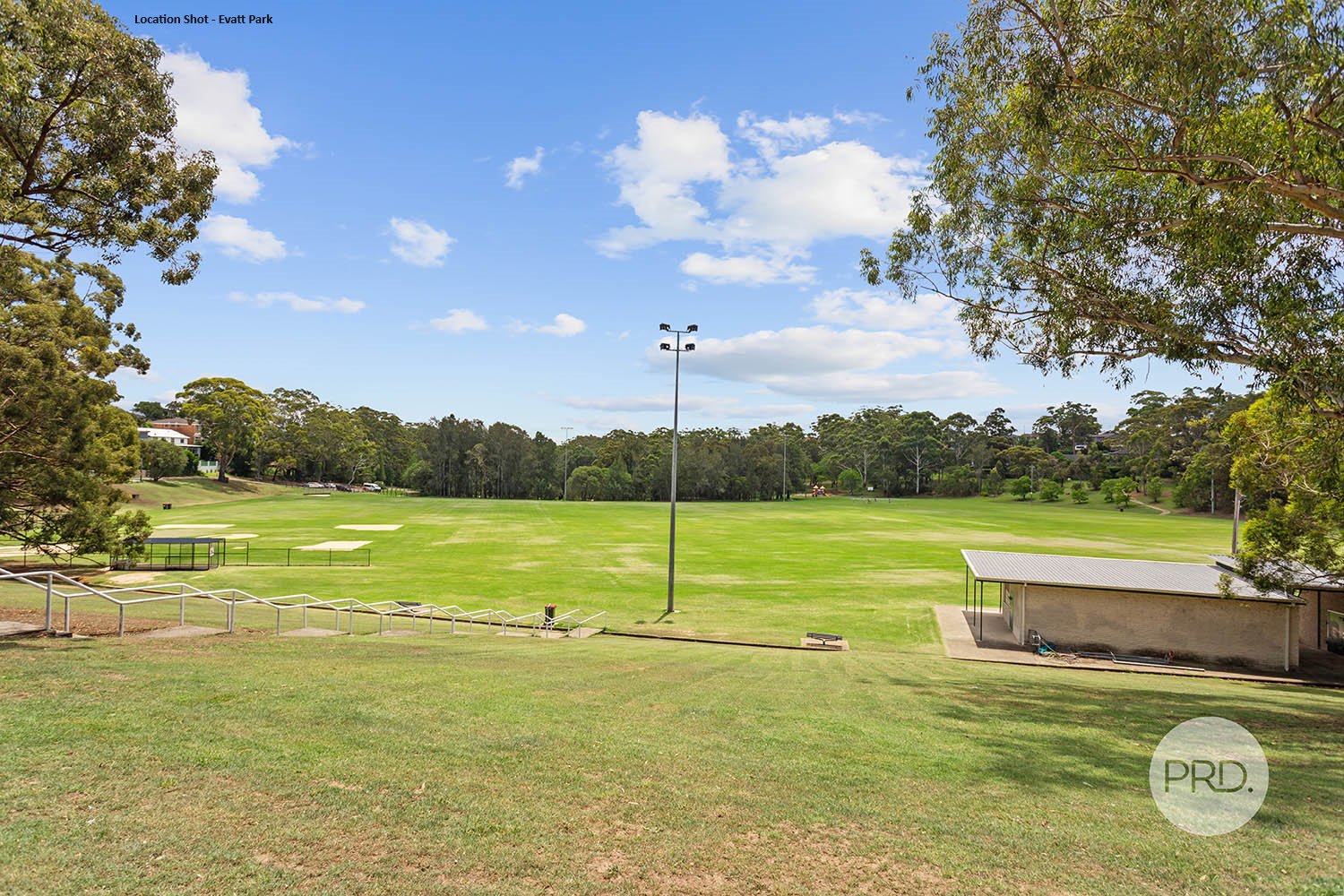 20A Old Forest Road LUGARNO 18