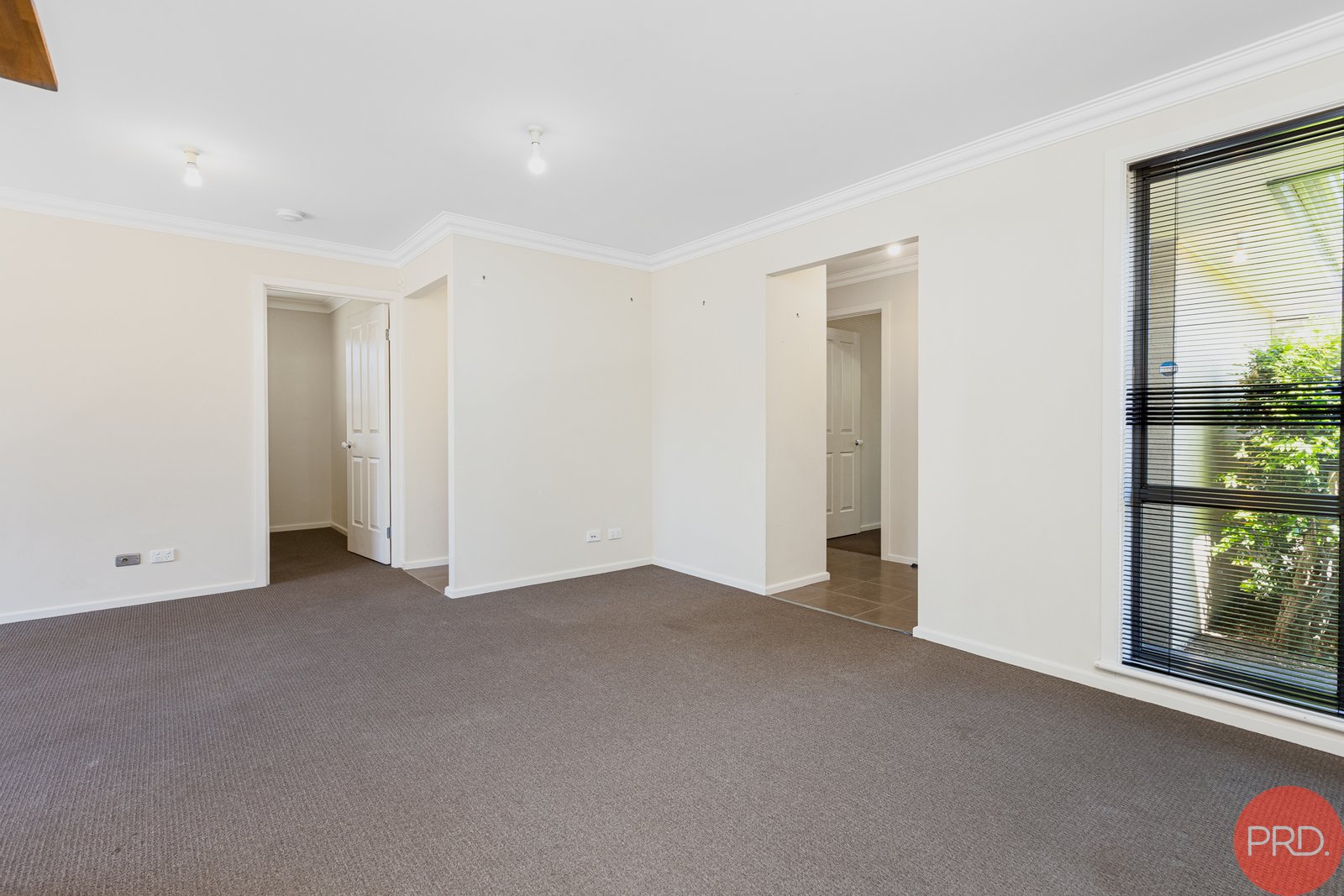 20B Stronach Avenue EAST MAITLAND 4