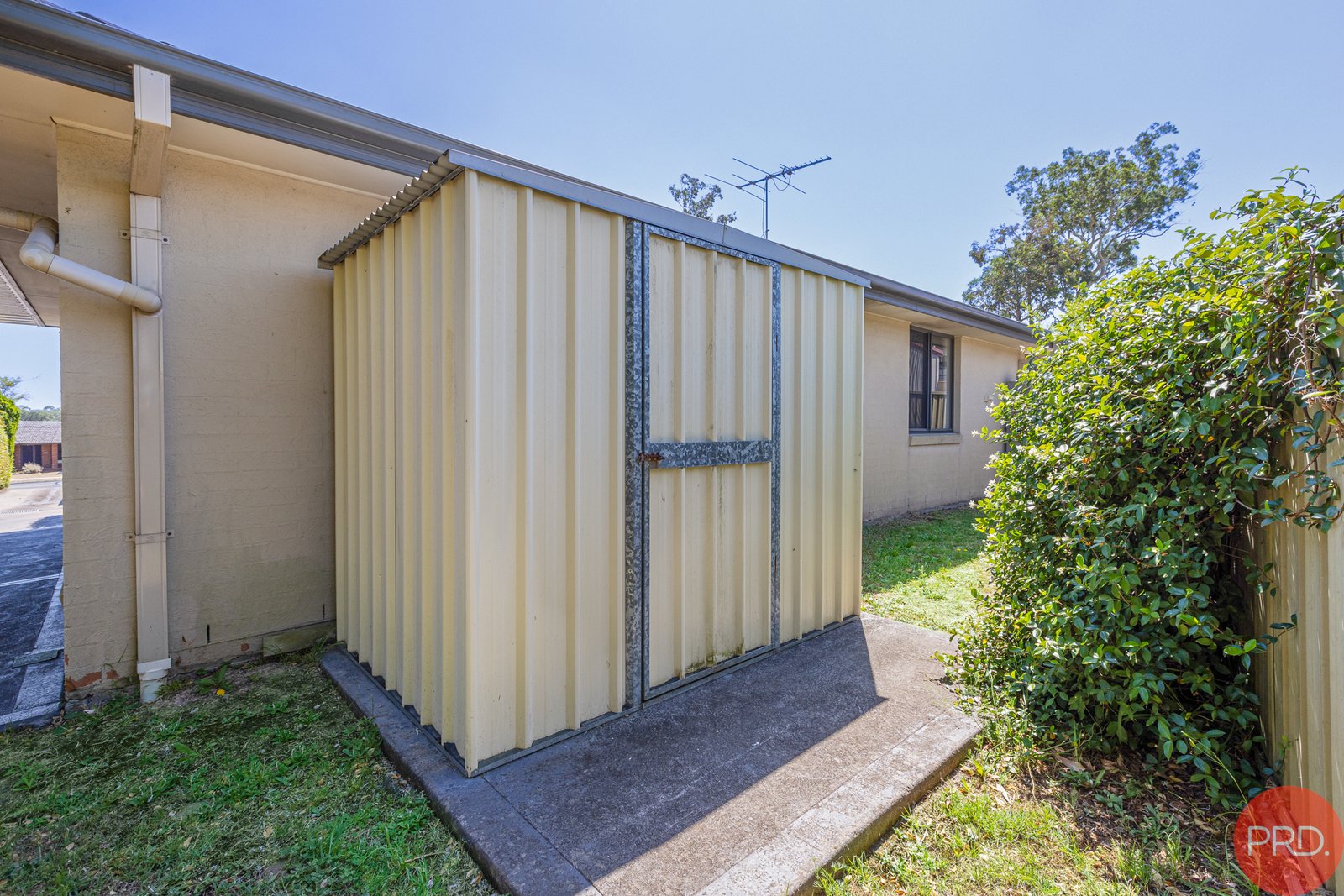 20B Stronach Avenue EAST MAITLAND 17