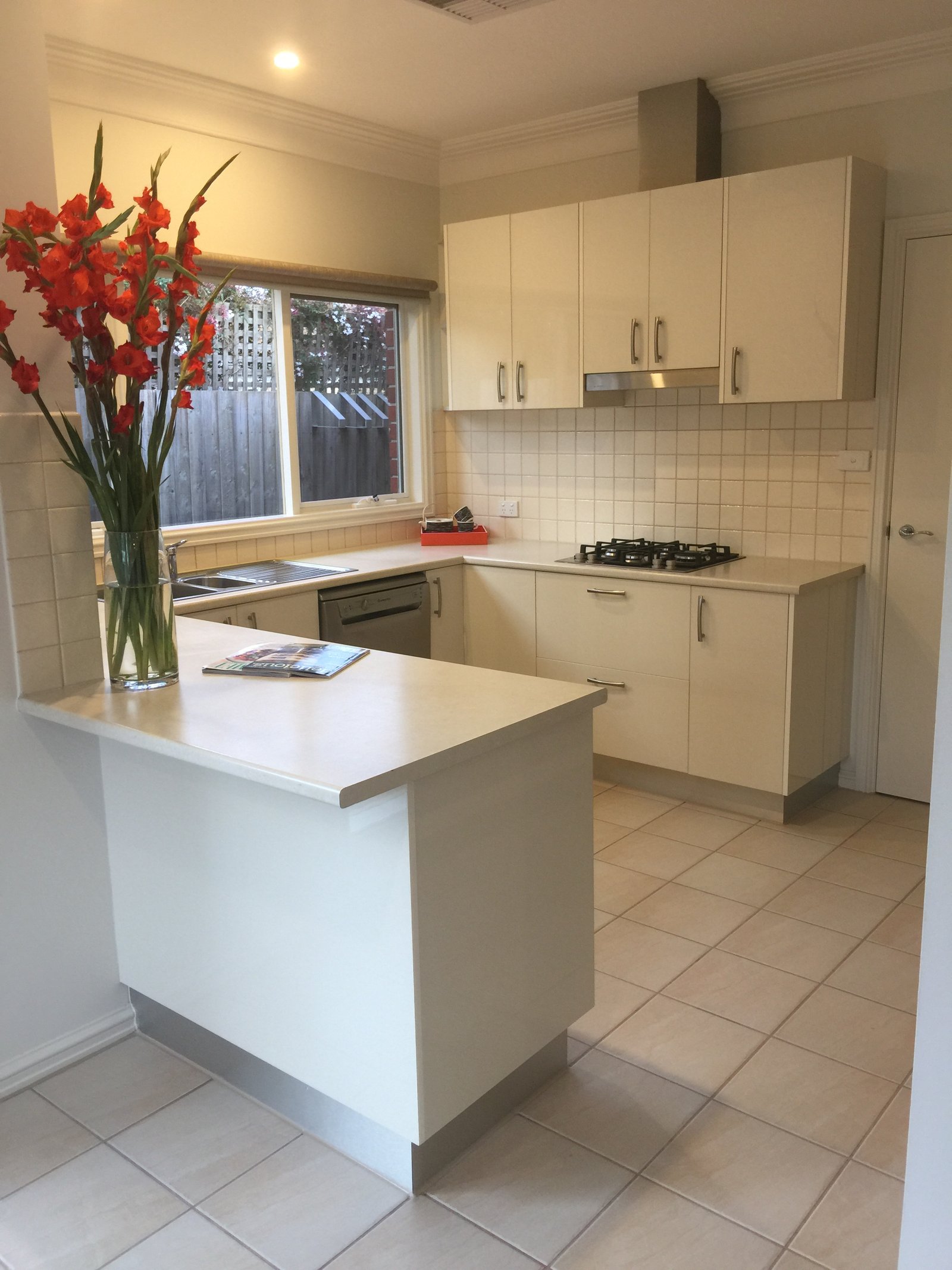 Gallery: 20B Thurso Street