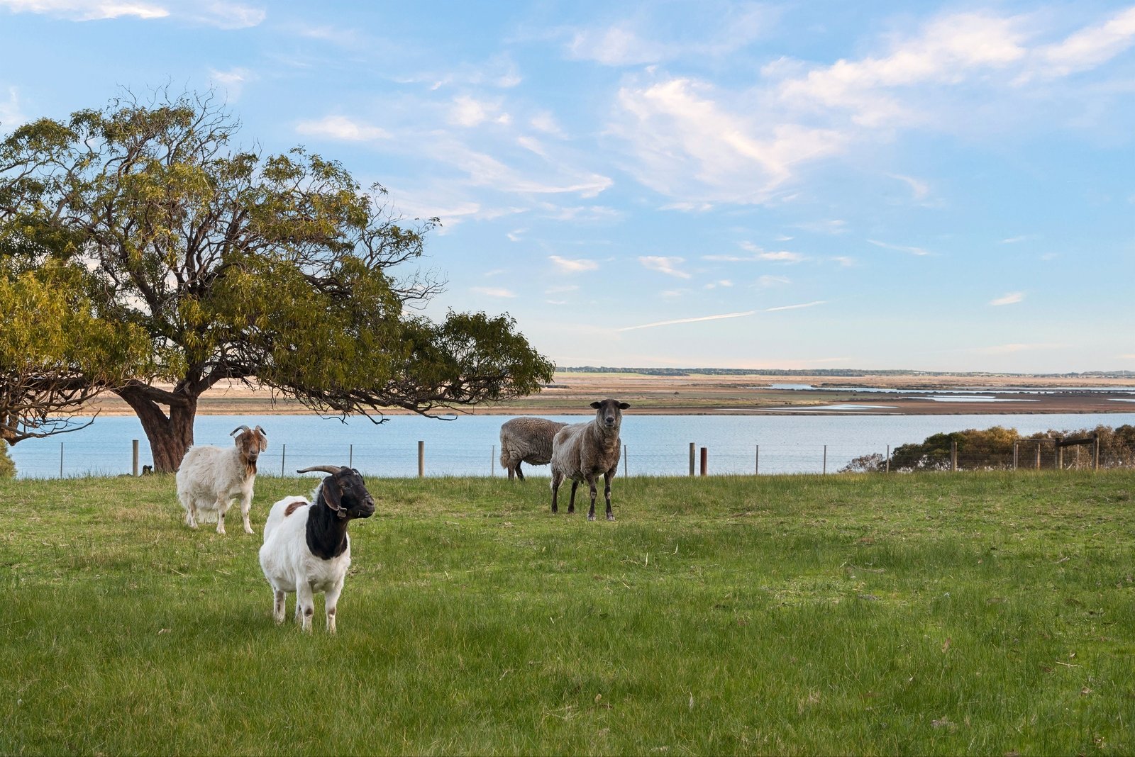 Real Estate and Property in 21-29 Ashgarth Avenue, Leopold, VIC