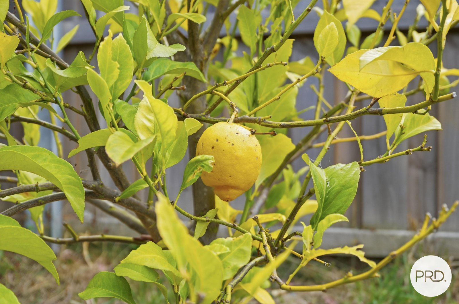 21 Advocate Drive KINGSTON 21