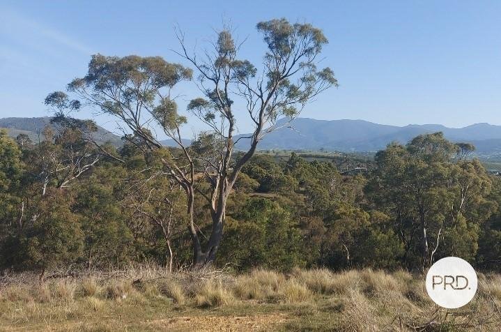 21 Amygdalina Rise HONEYWOOD 3