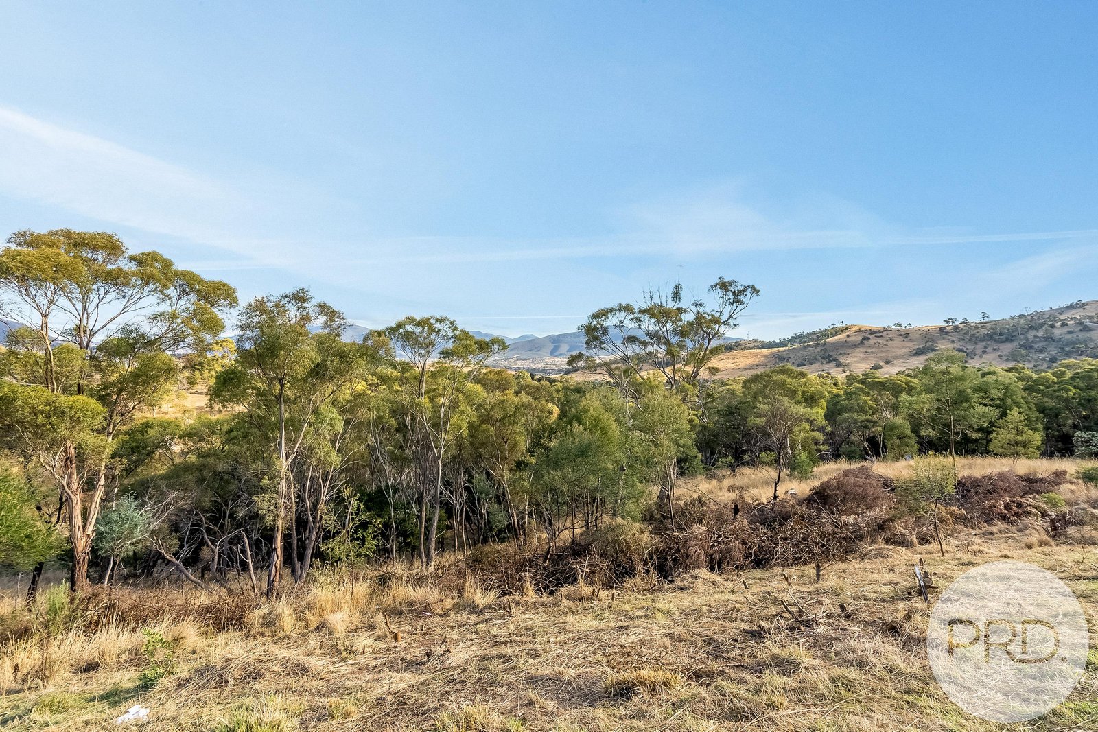 21 Amygdalina Rise HONEYWOOD 9