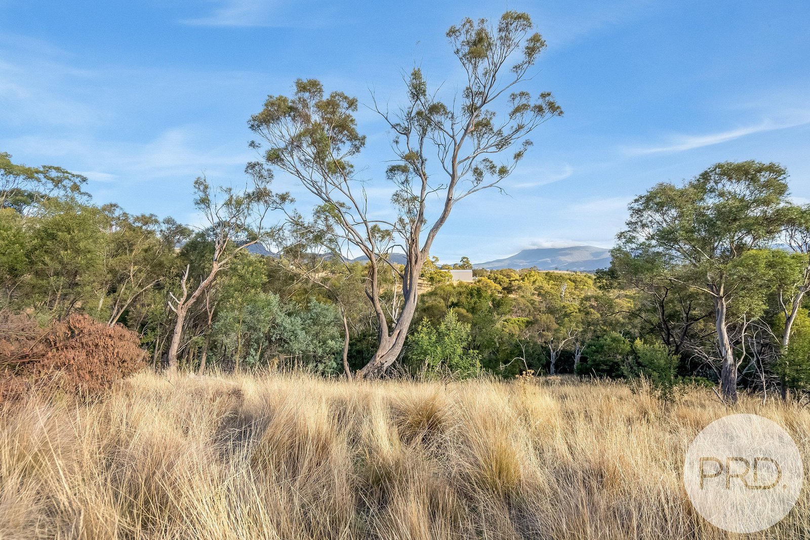 21 Amygdalina Rise HONEYWOOD 10