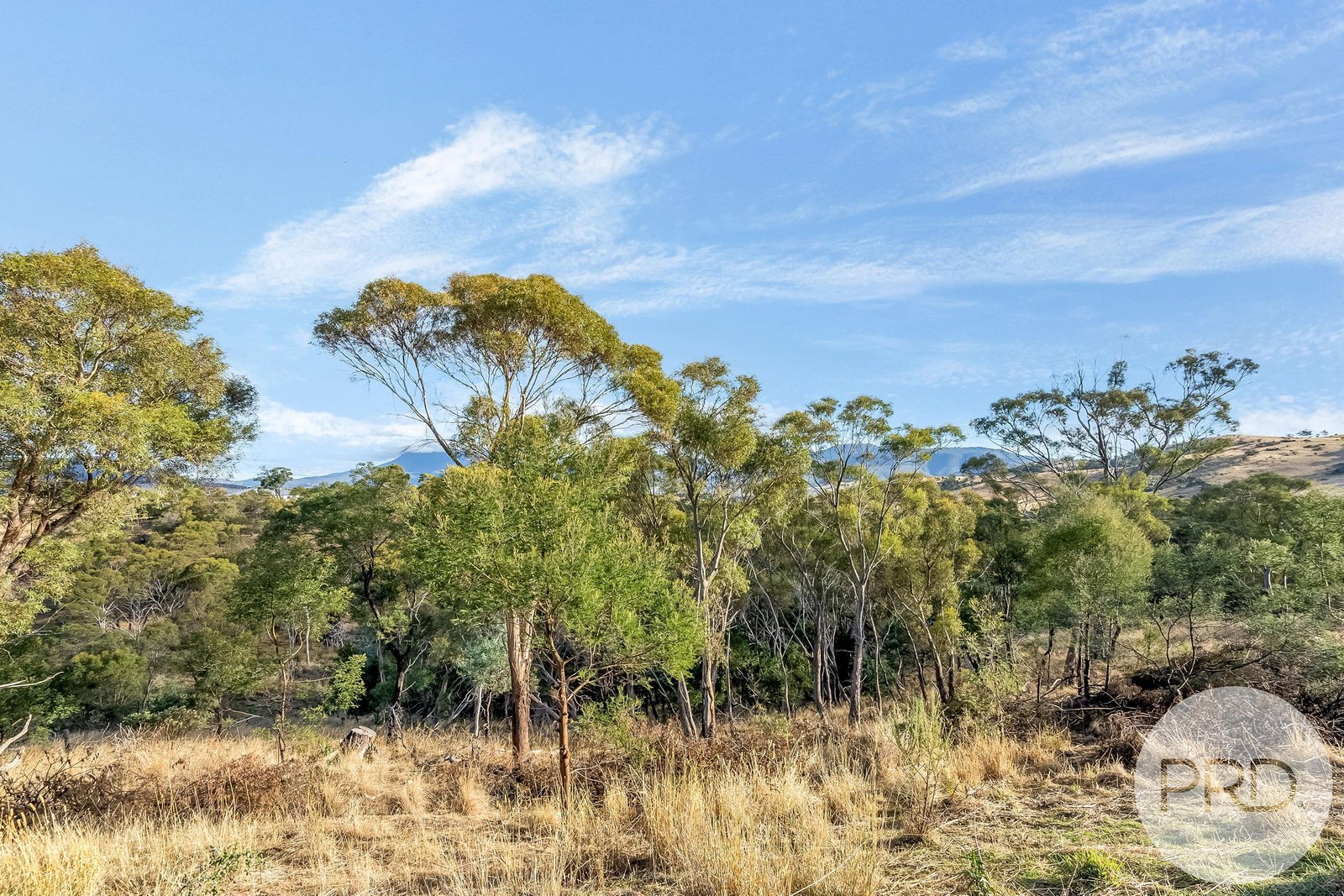 21 Amygdalina Rise HONEYWOOD 11