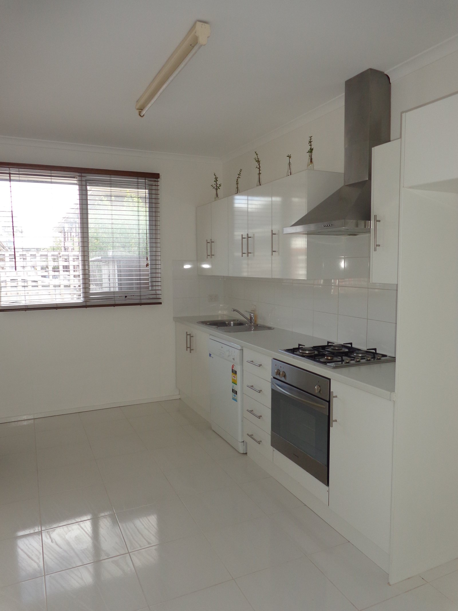 Gallery: 2/1 Avenza Street
