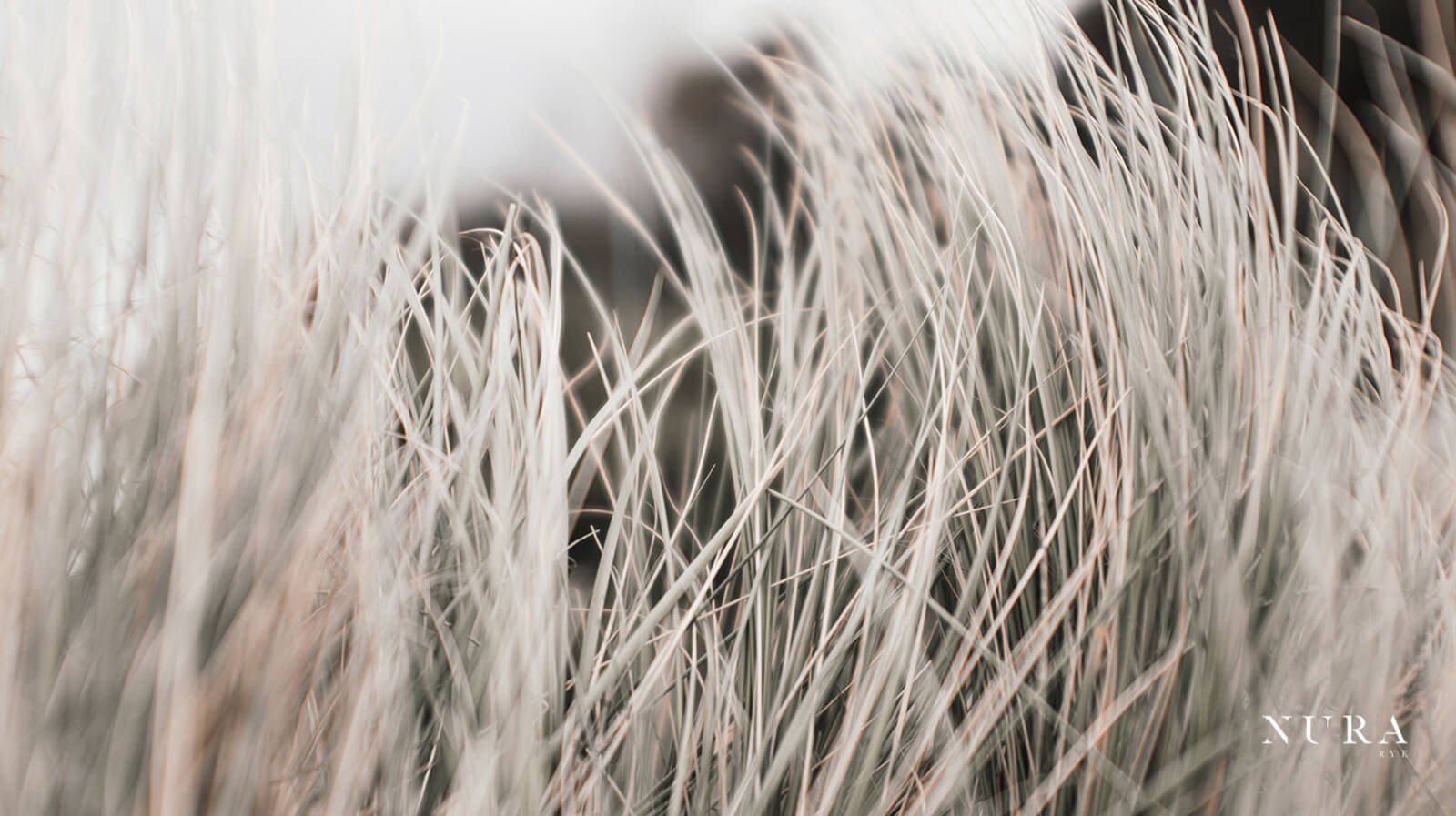 Real Estate and Property in 21 Avon Road, Rye, VIC