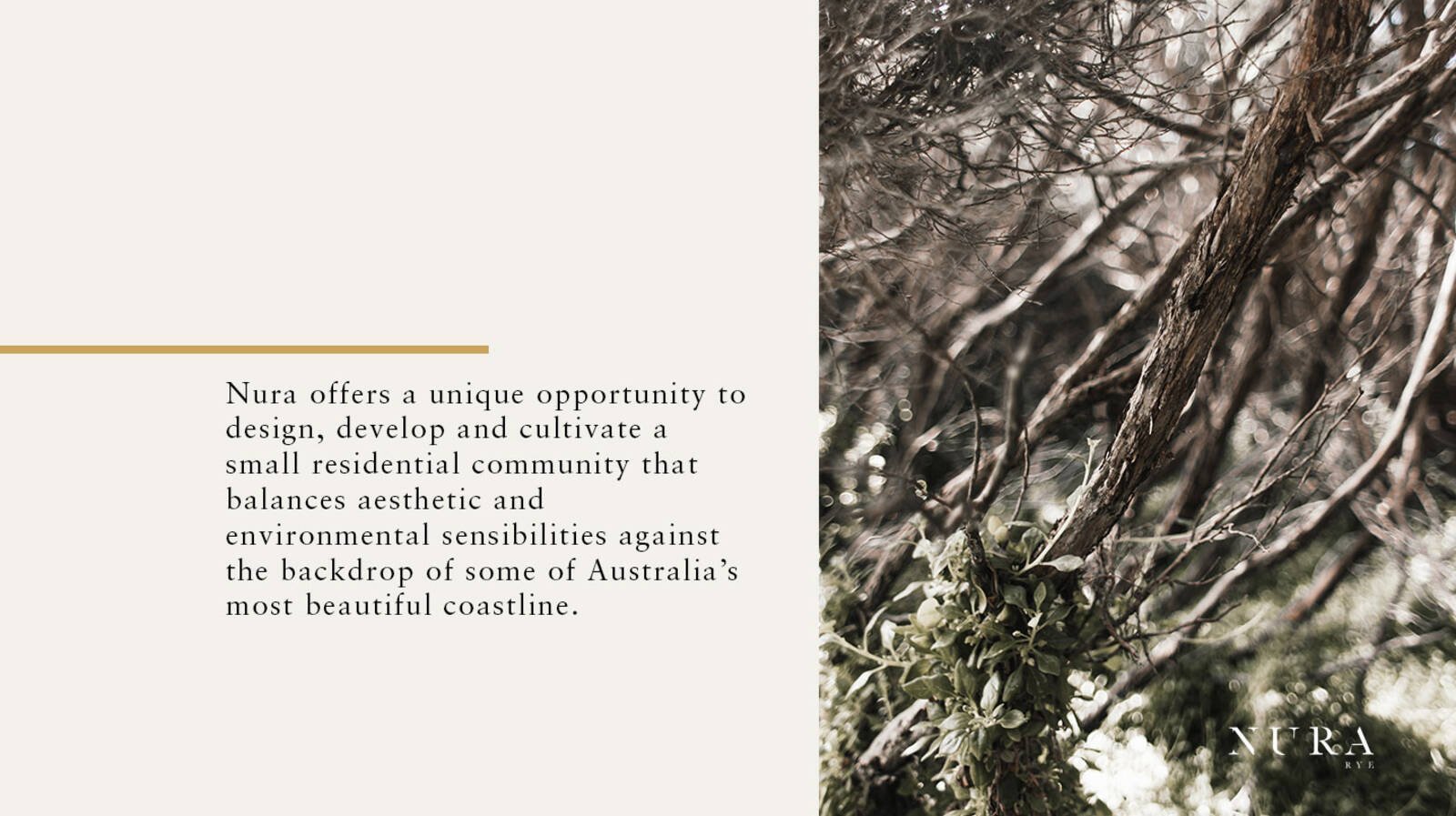 Real Estate and Property in 21 Avon Road, Rye, VIC